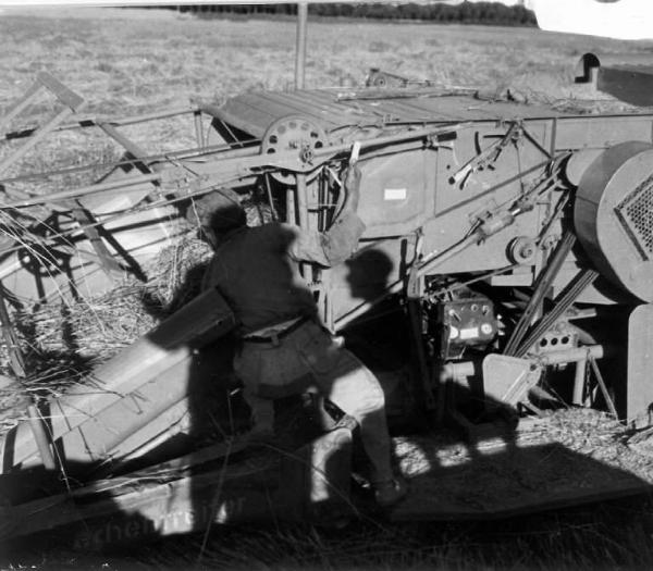 Fascismo - Battaglia del Grano - Mietitura meccanica