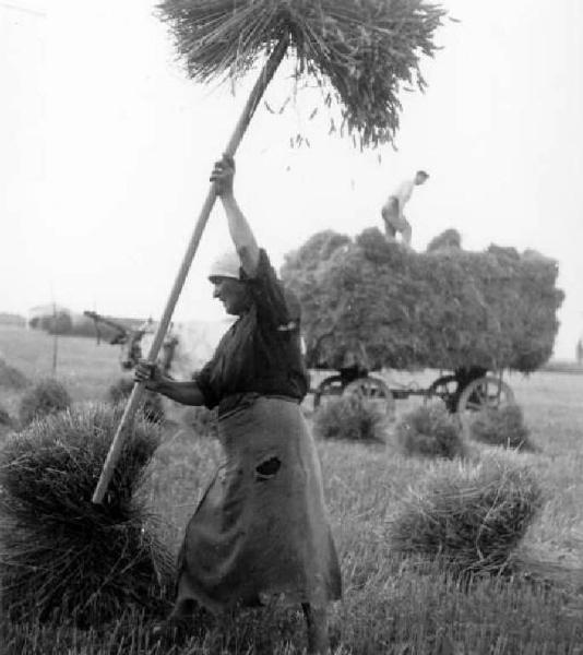 Fascismo - Battaglia del Grano - Contadina raccoglie le fascine