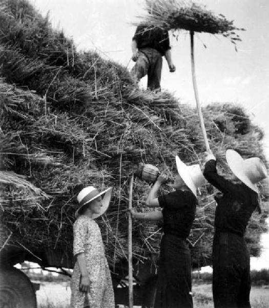 Fascismo - Battaglia del Grano - Raccolta delle fascine sul carro