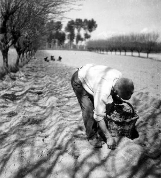 Lavoro agricolo - Semina - Contadino al lavoro