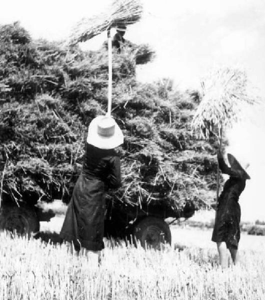 Fascismo - Battaglia del Grano - Contadine mettono le fascine sul carro