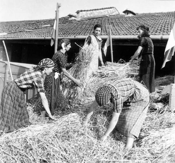 Fascismo - Battaglia del Grano - Preparazione delle fascine - Contadine al lavoro