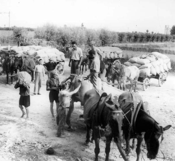 Fascismo - Battaglia del Grano - Trasporto dei sacchi di grano - Scaricatori