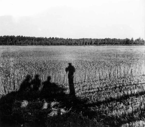 Lavoro agricolo - Campo di grano