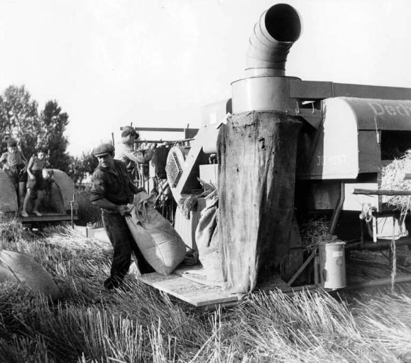 Fascismo - Battaglia del Grano - Raccolta del grano - Preparazione dei sacchi - Contadino al lavoro