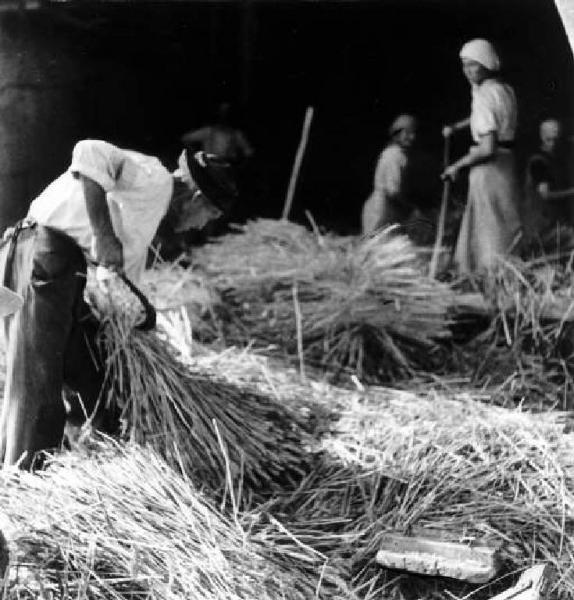 Fascismo - Battaglia del Grano - Contadini al lavoro