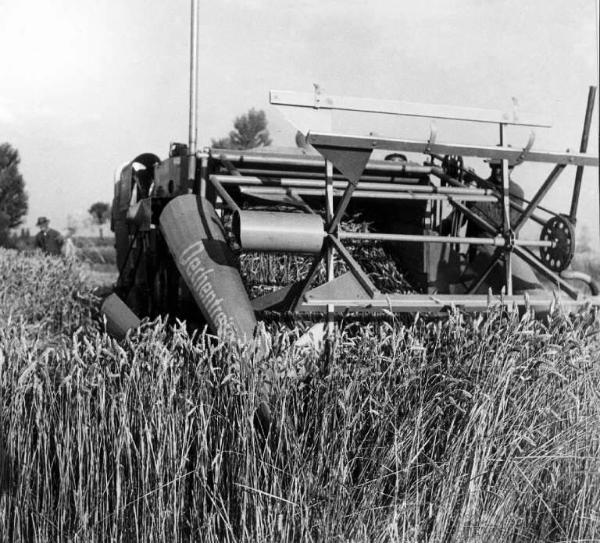 Fascismo - Battaglia del Grano - Mietitrebbiatrice in un campo di grano