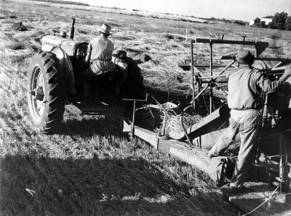 Fascismo - Battaglia del Grano - Contadini lavorano con una macchina in un campo di grano