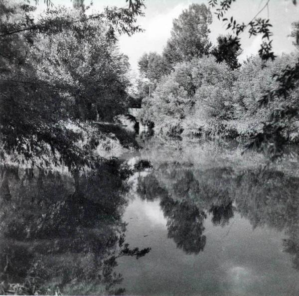 Paesaggio fluviale