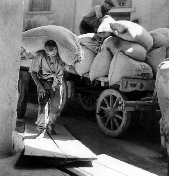 Contadino scarica sacchi di grano da un carro