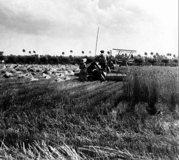 Fascismo - Battaglia del Grano - Trebbiatura