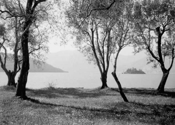 Monte Isola - Lago d'Iseo - Isola di Loreto