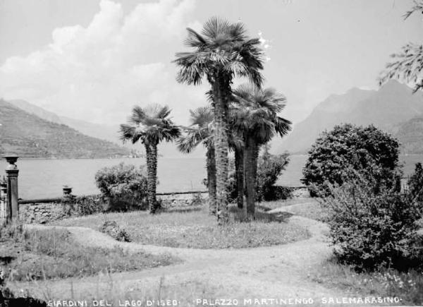 Sale Marasino - Lago d'Iseo - Villa Martinengo - Giardino con palme