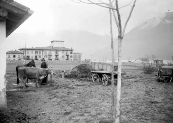 Castro - Azienda agricola - Uomo con asino e bue