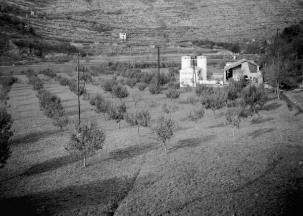 Breno - Azienda agricola Spinera di Carlo Franzoni - Frutteto e cascina