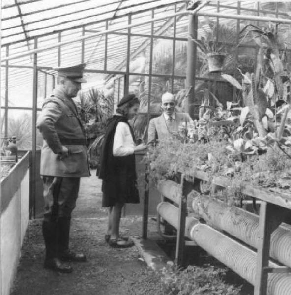 Cremona - Via Magenta - Serre Comunali (ora abbattute) - Lezione di botanica