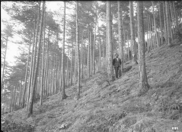 Borno - Bosco - Uomo in posa