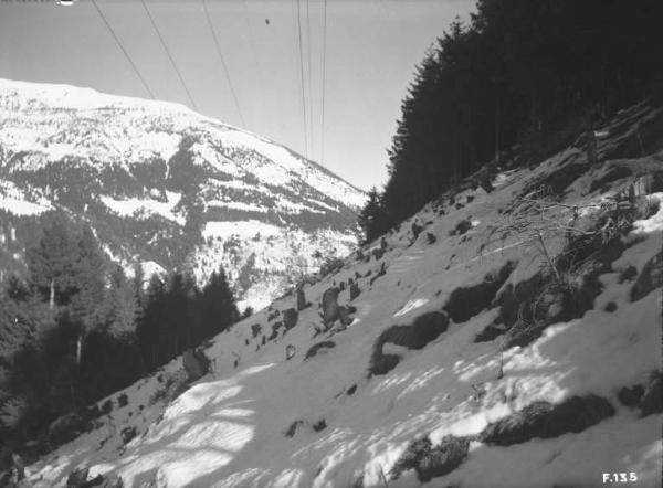 Borno - Bosco con neve - Tralicci dell'alta tensione