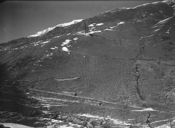 Vione - Opera di rimboschimento - Paesaggio con neve