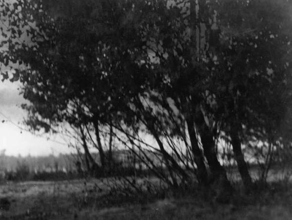 Cremona. Paesaggio di campagna.