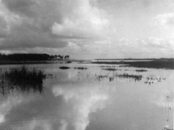 Fiume Po. Veduta del paesaggio.