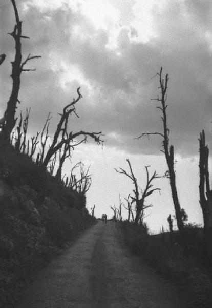 Cassino. La strada verso Montecassino