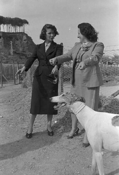 Lazio - Campagna - Ritratto femminile: Alida Valli (pseudonimo di Alida Maria Altenburger von Marckenstein und Frauenberg), attrice, con una donna e un cane levriero