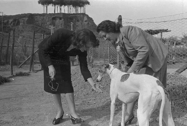 Lazio - Campagna - Ritratto femminile: Alida Valli (pseudonimo di Alida Maria Altenburger von Marckenstein und Frauenberg), attrice, con una donna e un cane levriero