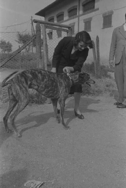 Lazio - Campagna - Ritratto femminile: Alida Valli (pseudonimo di Alida Maria Altenburger von Marckenstein und Frauenberg), attrice, con un cane levriero