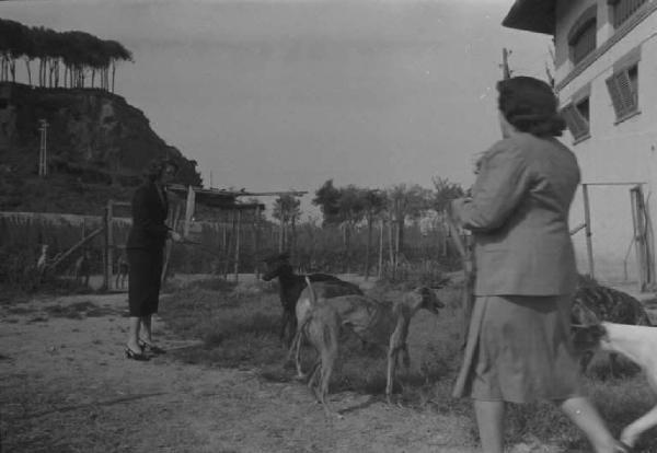 Lazio - Campagna - Alida Valli (pseudonimo di Alida Maria Altenburger von Marckenstein und Frauenberg), attrice, con una donna e cani levriero