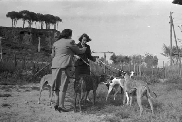 Lazio - Campagna - Alida Valli (pseudonimo di Alida Maria Altenburger von Marckenstein und Frauenberg), attrice, con una donna e cani levriero