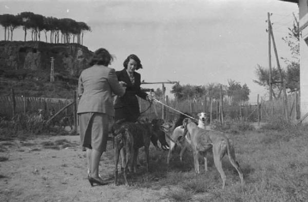 Lazio - Campagna - Alida Valli (pseudonimo di Alida Maria Altenburger von Marckenstein und Frauenberg), attrice, con una donna e cani levriero