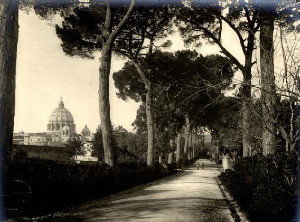 Roma - Villa Gabrielli - Viale alberato