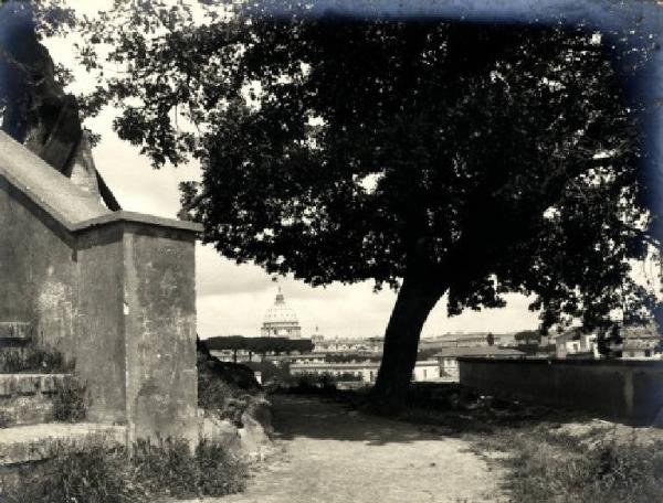 Roma - Colle Gianicolo - Quercia del Tasso