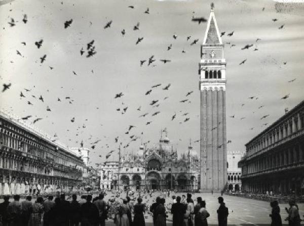 Venezia - Piazza San Marco - Campanile di San Marco - Piccioni