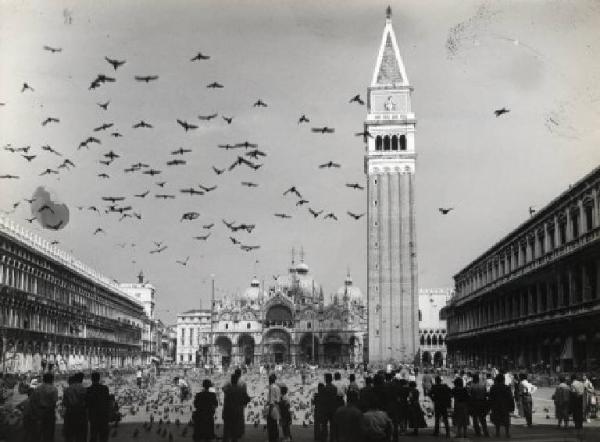 Venezia - Piazza San Marco - Campanile di San Marco - Piccioni