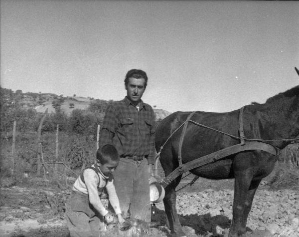 Melissa (Crotone) - Contadino e bambino con un mulo in un campo