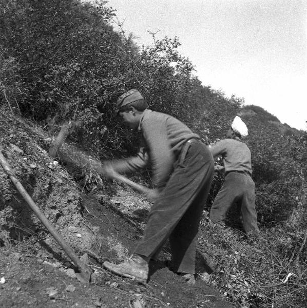 Melissa (Crotone) - Due contadini al lavoro in un campo di arbusti