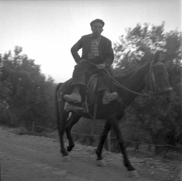 Melissa (Crotone) - Contadino su mulo in una strada di campagna