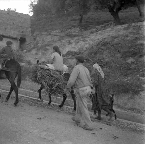 Melissa (Crotone) - Contadini e contadine su asini e a piedi in una strada verso il paese