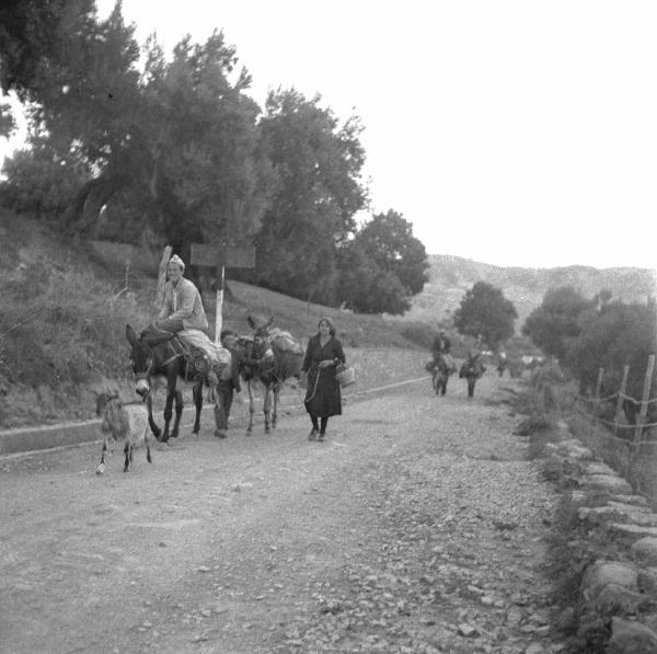 Melissa (Crotone) - Famiglia di contadini con muli e capretta in una strada verso il paese