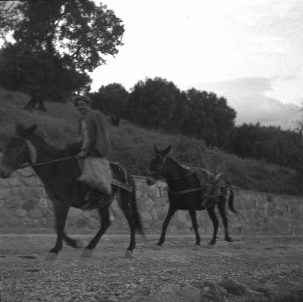Melissa (Crotone) - Contadino su mulo in una strada verso il paese