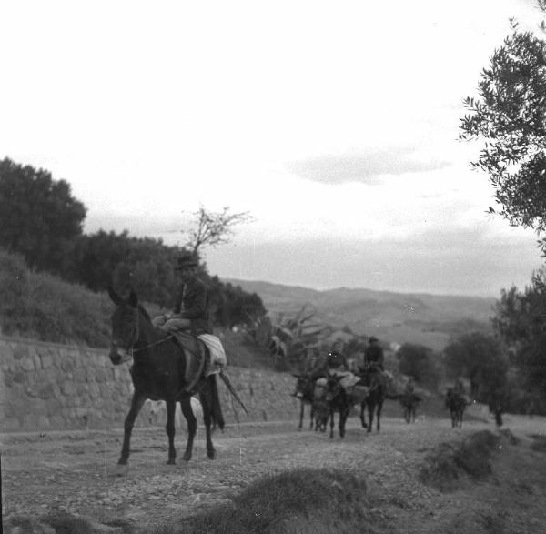 Melissa (Crotone) - Contadini su muli e asini carichi in una strada verso il paese