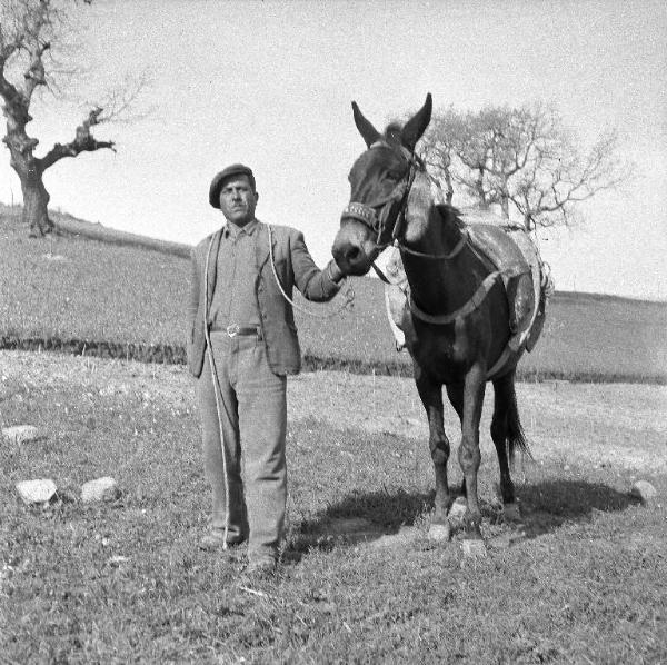 Melissa (Crotone) - Contadino con mulo in un campo