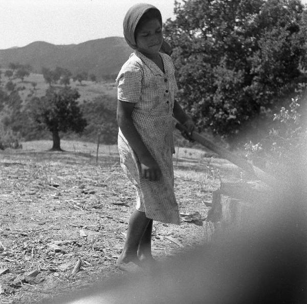 Melissa (Crotone) - Giovane contadina al lavoro in un campo di alberi