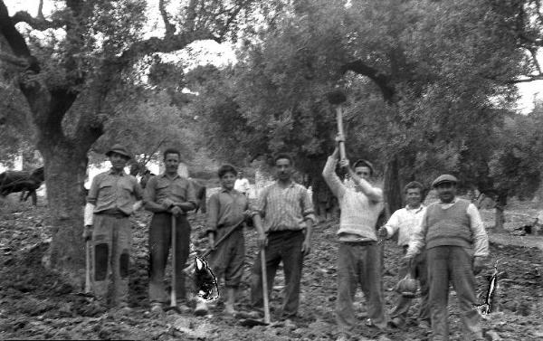 Melissa (Crotone) - Gruppo di contadini con zappe in un campo - Ritratto