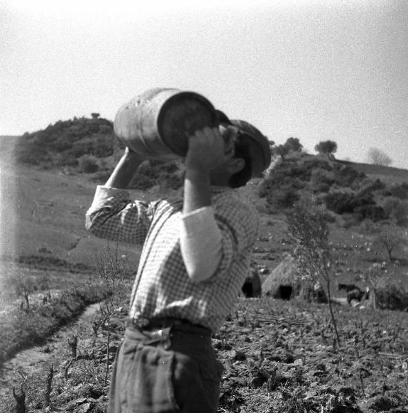 Melissa (Crotone) - Contadino che beve da una botte durante il lavoro in un campo