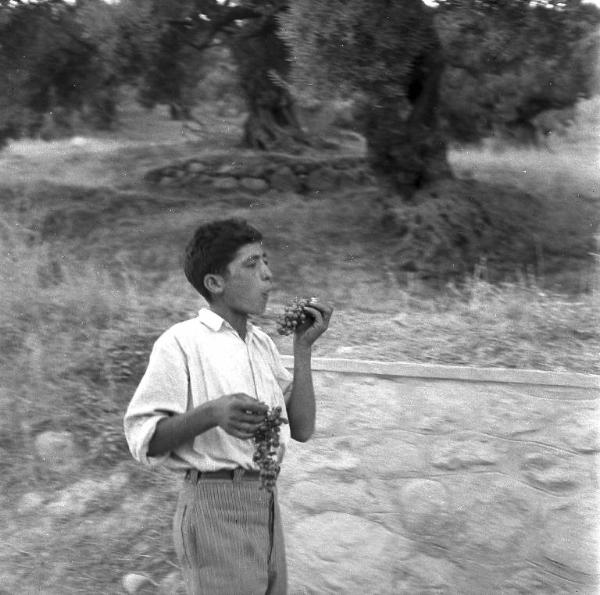 Melissa (Crotone) - Ragazzo che mangia uva in una strada di campagna