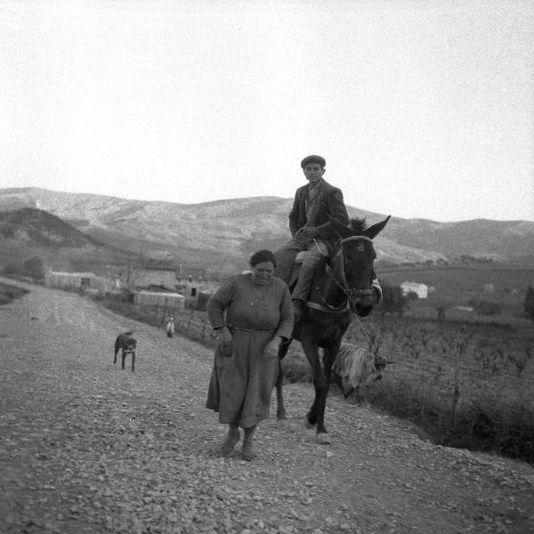 Melissa (Crotone) - Contadino su mulo e donna a piedi in una strada verso il paese