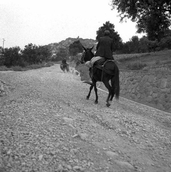 Melissa (Crotone) - Contadini su muli in una strada verso il paese